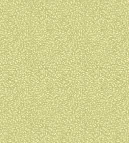 Tansy Wallpaper by GP & J Baker Green