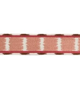 Taos Embroidered Border Trimming by Samuel & Sons Cactus Bloom