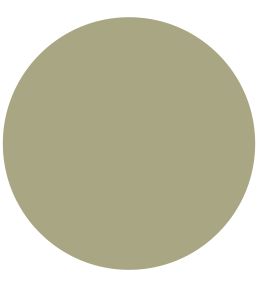 Tapestry Green 1829 Chalky Emulsion Paint by Craig & Rose Tapestry Green