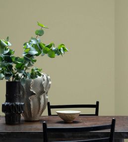 Tapestry Green 1829 Chalky Emulsion Paint by Craig & Rose Tapestry Green
