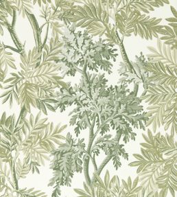 Tapestry Trees Wallpaper by Sanderson Forest/Willow