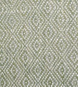 Tarsa Fabric by Ian Sanderson Lichen