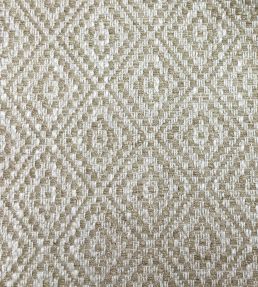Tarsa Fabric by Ian Sanderson Putty