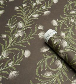 Tasmanian Mimosa Wallpaper by Schumacher Brown & Green