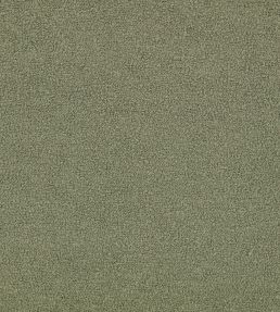 Teddy FR Fabric by Kirkby Design Sage