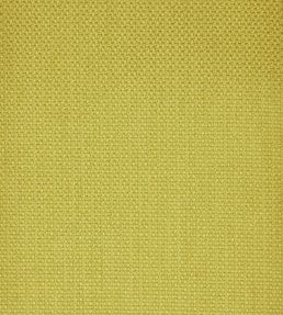 Tempera in Marwood Fabric by Liberty Fennel