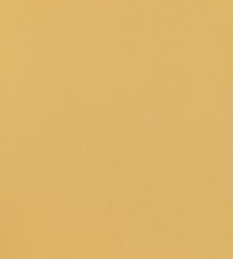 Tetbury Linen Fabric by GP & J Baker Yellow