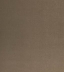 Tetbury Velvet Fabric by GP & J Baker Dove