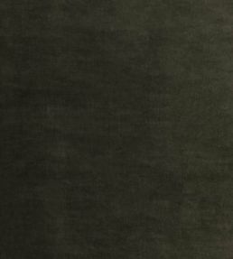 Tetbury Velvet Fabric by GP & J Baker Eucalyptus