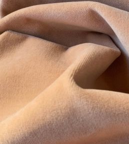 Tetbury Velvet Fabric by GP & J Baker Moss