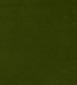 Tetbury Velvet Fabric by GP & J Baker Spruce
