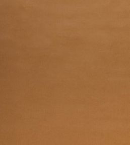 Tetbury Velvet Fabric by GP & J Baker Camel