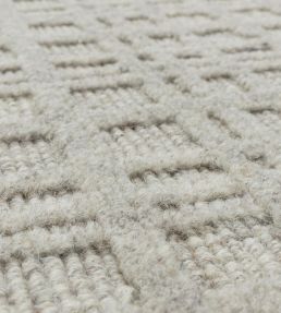 Asiatic Thatch rug Greige THAT120170GRIE Greige