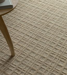 Asiatic Thatch rug Sand THAT120170SAND Sand