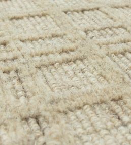 Asiatic Thatch rug Sand THAT120170SAND Sand