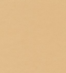 Liso Fabric by The Isle Mill Daisy