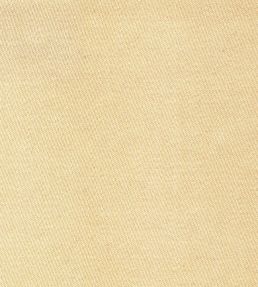 Liso Fabric by The Isle Mill Champagne