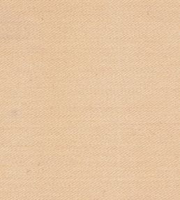 Liso Fabric by The Isle Mill Blanc
