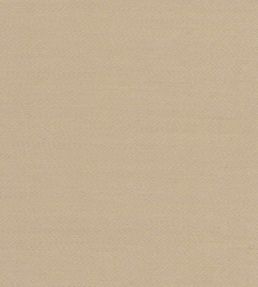 Liso Fabric by The Isle Mill Ash