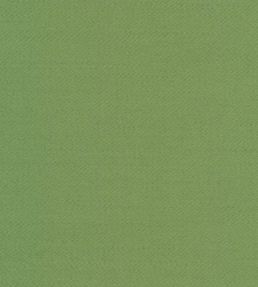 Liso Fabric by The Isle Mill Parakeet