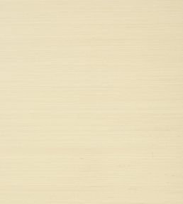Shang Extra Fine Sisal Wallpaper by Thibaut Beige