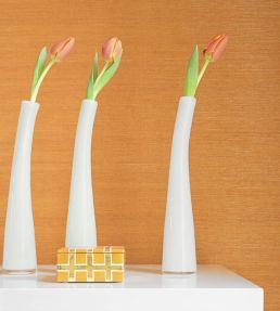 Shang Extra Fine Sisal Wallpaper by Thibaut Teal