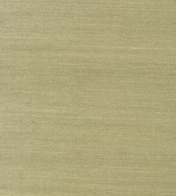 Shang Extra Fine Sisal Wallpaper by Thibaut Moss