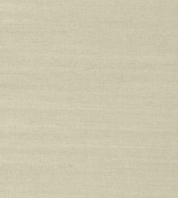 Shang Extra Fine Sisal Wallpaper by Thibaut Light Sage