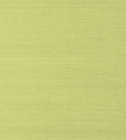 Shang Extra Fine Sisal Wallpaper by Thibaut Green