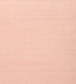 Shang Extra Fine Sisal Wallpaper by Thibaut Blush