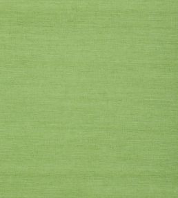 Shang Extra Fine Sisal Wallpaper by Thibaut Kelly Green