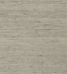 Maranta Arrowroot Wallpaper by Thibaut Grey