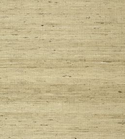 Maranta Arrowroot Wallpaper by Thibaut Beige