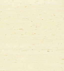 Maranta Arrowroot Wallpaper by Thibaut Cream