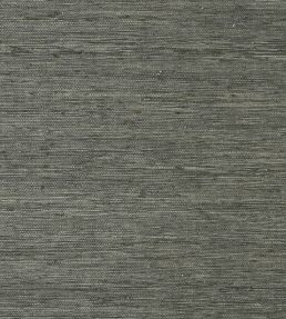 Maranta Arrowroot Wallpaper by Thibaut Black