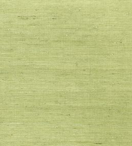 Maranta Arrowroot Wallpaper by Thibaut Green
