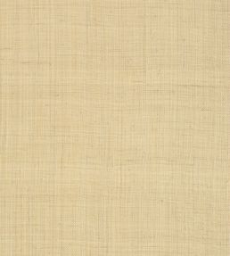 Carolina Raffia Wallpaper by Thibaut Natural