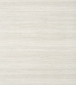 Wild Silk Wallpaper by Thibaut Grey