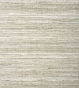 Wild Silk Wallpaper by Thibaut Taupe