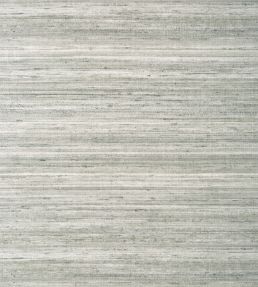 Wild Silk Wallpaper by Thibaut Charcoal on Metallic Silver
