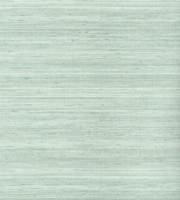 Wild Silk Wallpaper by Thibaut Aqua