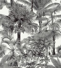 Palm Botanical Wallpaper by Thibaut Black