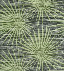 Palm Frond Wallpaper by Thibaut Black and Green