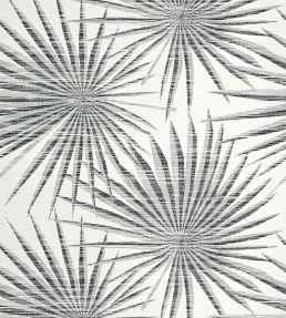 Palm Frond Wallpaper by Thibaut Black and White