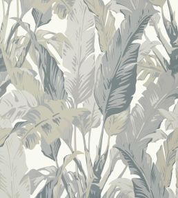 Travelers Palm Wallpaper by Thibaut Grey