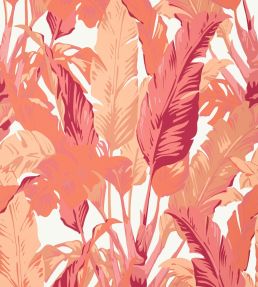 Travelers Palm Wallpaper by Thibaut Pink and Coral