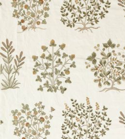 Thyme Walk Fabric by Sanderson Lichen/Gooseberry