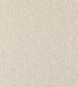 Tierra Fabric by Clarke & Clarke Blush