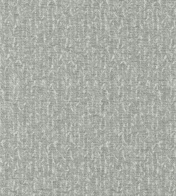 Tierra Fabric by Clarke & Clarke Charcoal