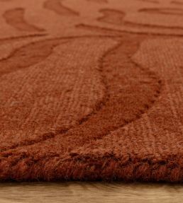 Asiatic Tigra rug Spice TIGR120170SPIC Spice
